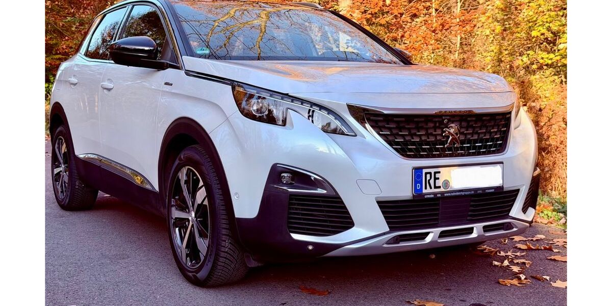 Peugeot 3008 90.000 km 18.600 &euro; Herten 45701