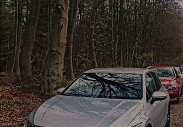 VW Golf 168.139 km 28.000 &euro; Bottrop 46236