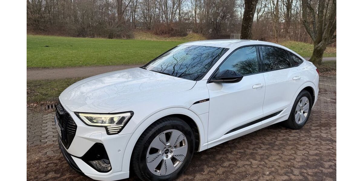 Audi e-tron 59.000 km 29.990 &euro; Bochum 44793