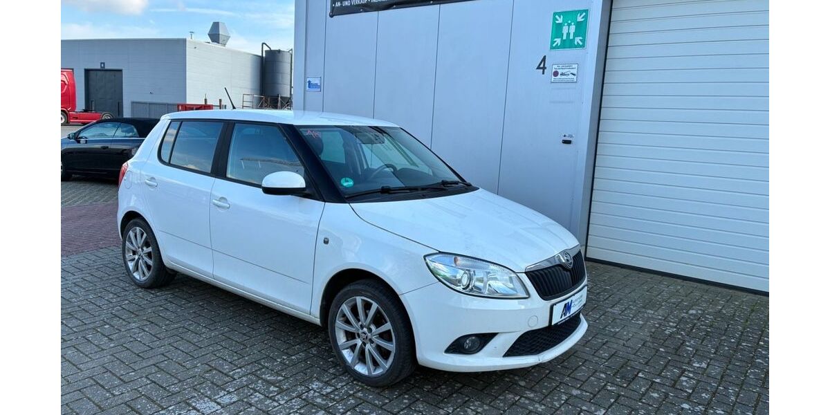 Skoda Fabia 191.254 km 4.390 &euro; Rhede 46414