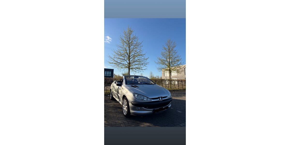 Peugeot 206 159.980 km 1.599 &euro; Herten 45699